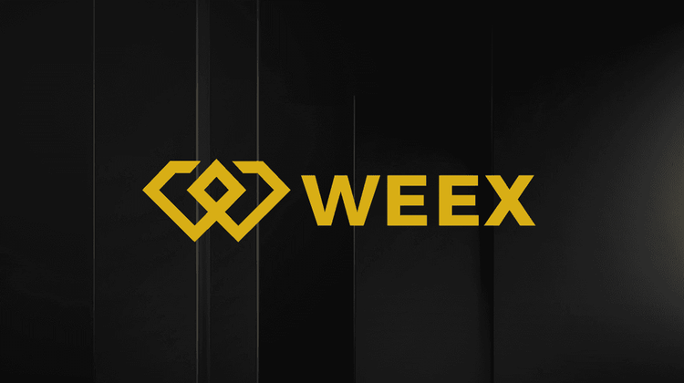 Is Coinneckt + (CNKTPLUS) a Good Investment in 2026?