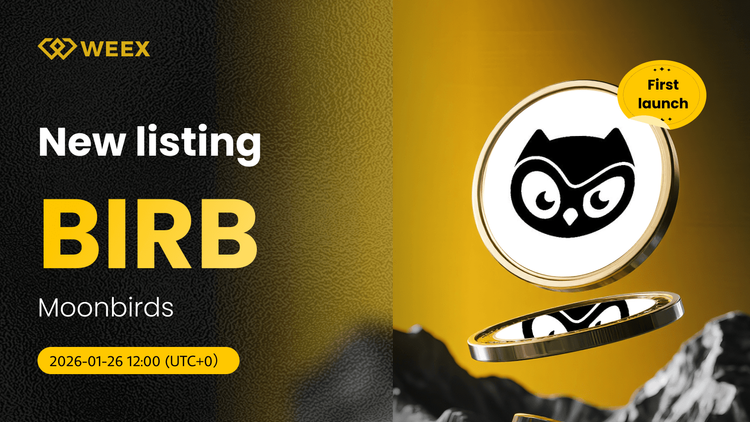 BIRB USDT First Launch: Moonbirds Coin on WEEX